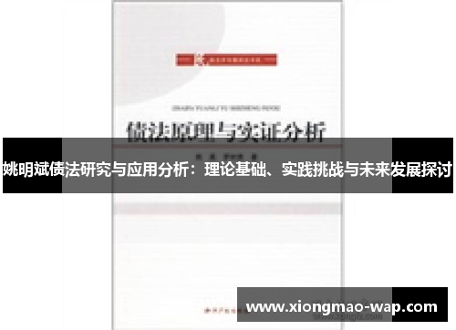 姚明斌债法研究与应用分析：理论基础、实践挑战与未来发展探讨